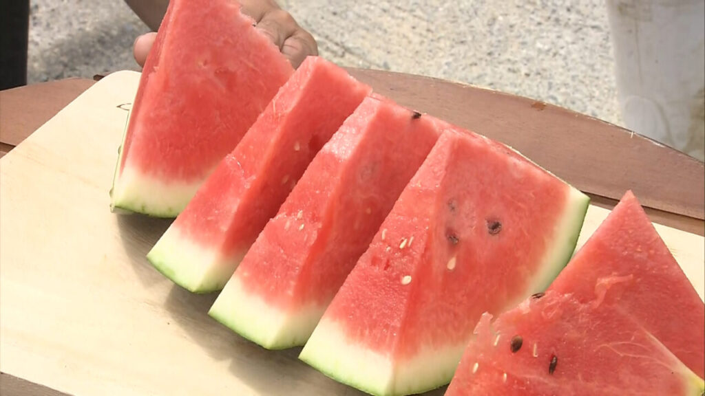 夏の風物詩！水分たっぷりの「スイカ」を食べて夏を乗り切ろう！