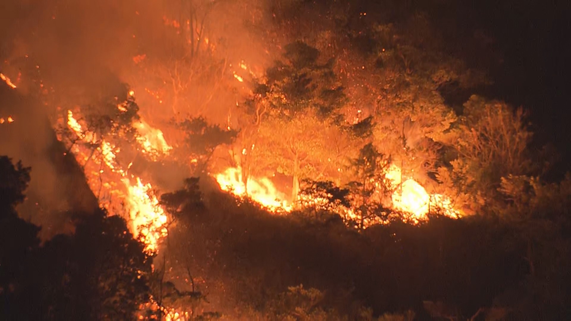 「二島で山火事です」山口市で山火事発生　５時間以上経過しても燃え続ける　