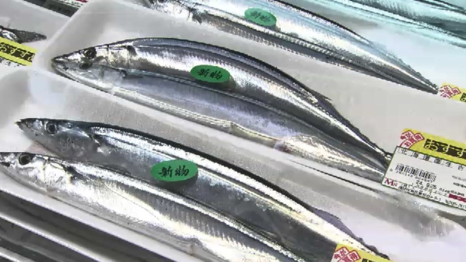 豊漁から一転　秋の味覚「サンマ」に早くも異変…価格は高止まり　年内の漁獲量は低水準に　店長おすすめの魚介類は　福岡